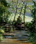 Stream at Lake Laura, Basye, VA