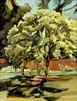 Summer at Roslyn Park, Richmond, VA